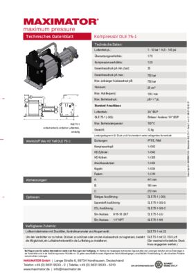DB 01.02.02.31 Kompressor DLE 75-1