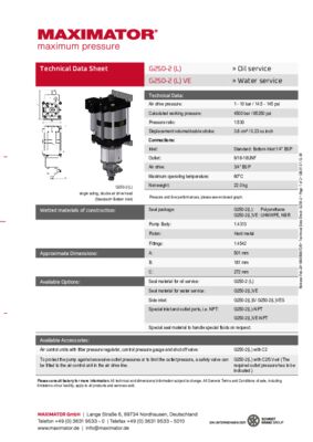 DB 01.01.12.06 Pump G250-2